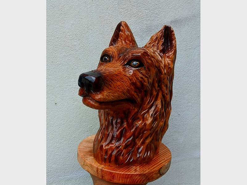 ecultura lobo ecuador