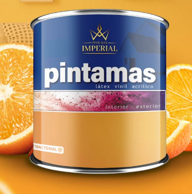 Pintura Loja