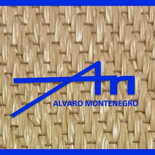 Alvaro Montenegro