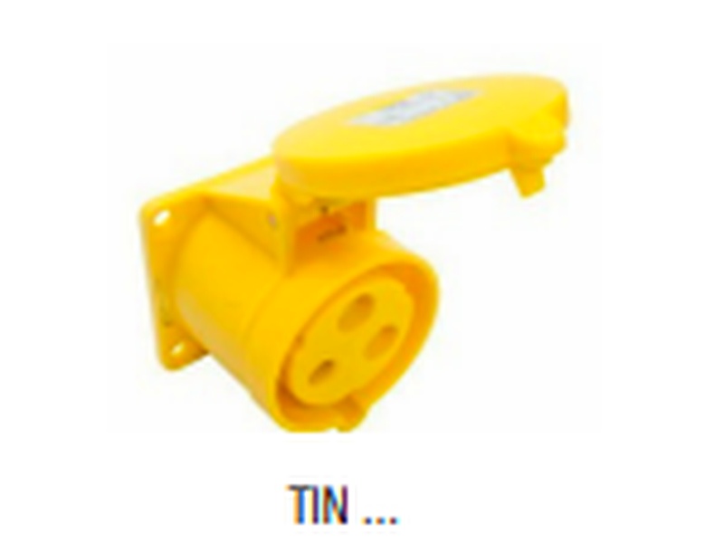 TIN