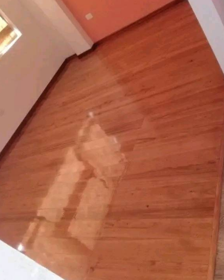 Piso parquet Ibarra Máster