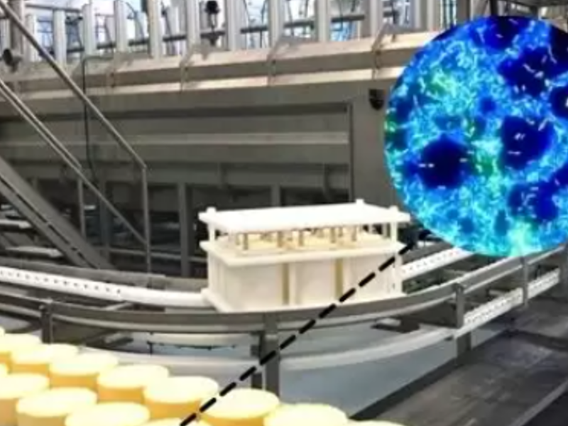 Desinfección intercambiadores calor ecuador