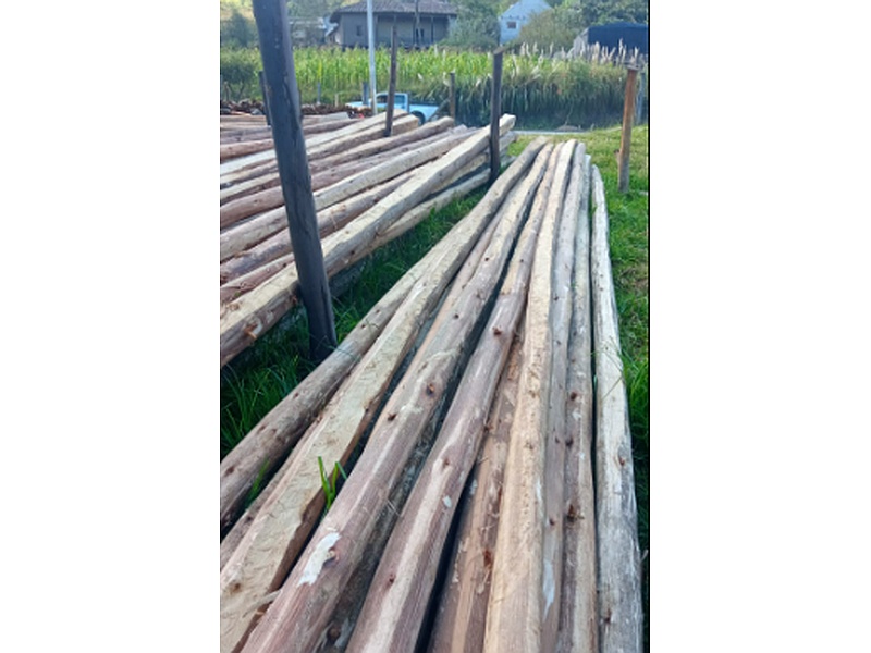 Palos Largos Madera Ecuador