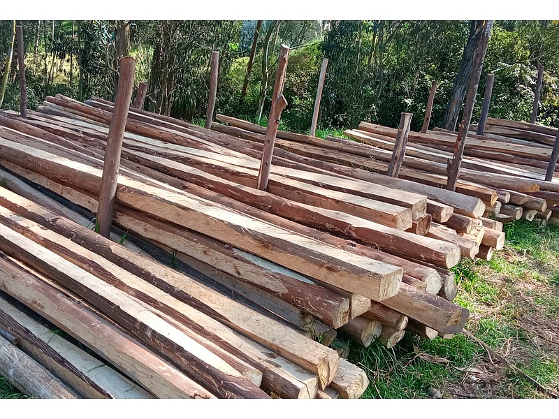 Estibado Madera Nativa Ecuador