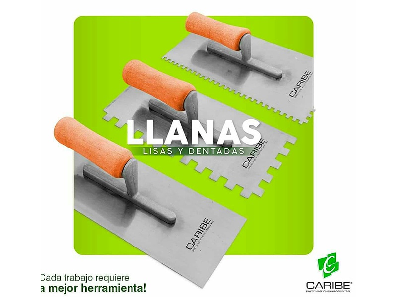 Llanas Lisas y Dentadas Ecuador Caribe 