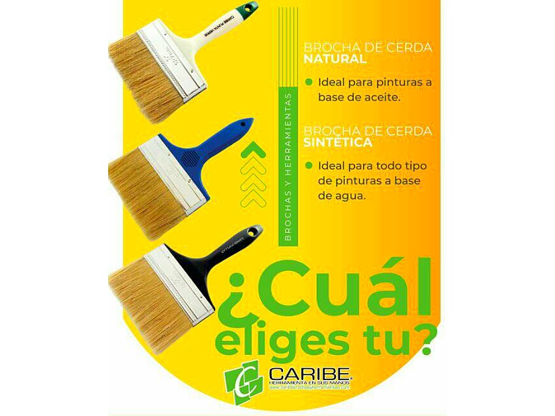 Brocha de Cerda Natural Caribe Ecuador