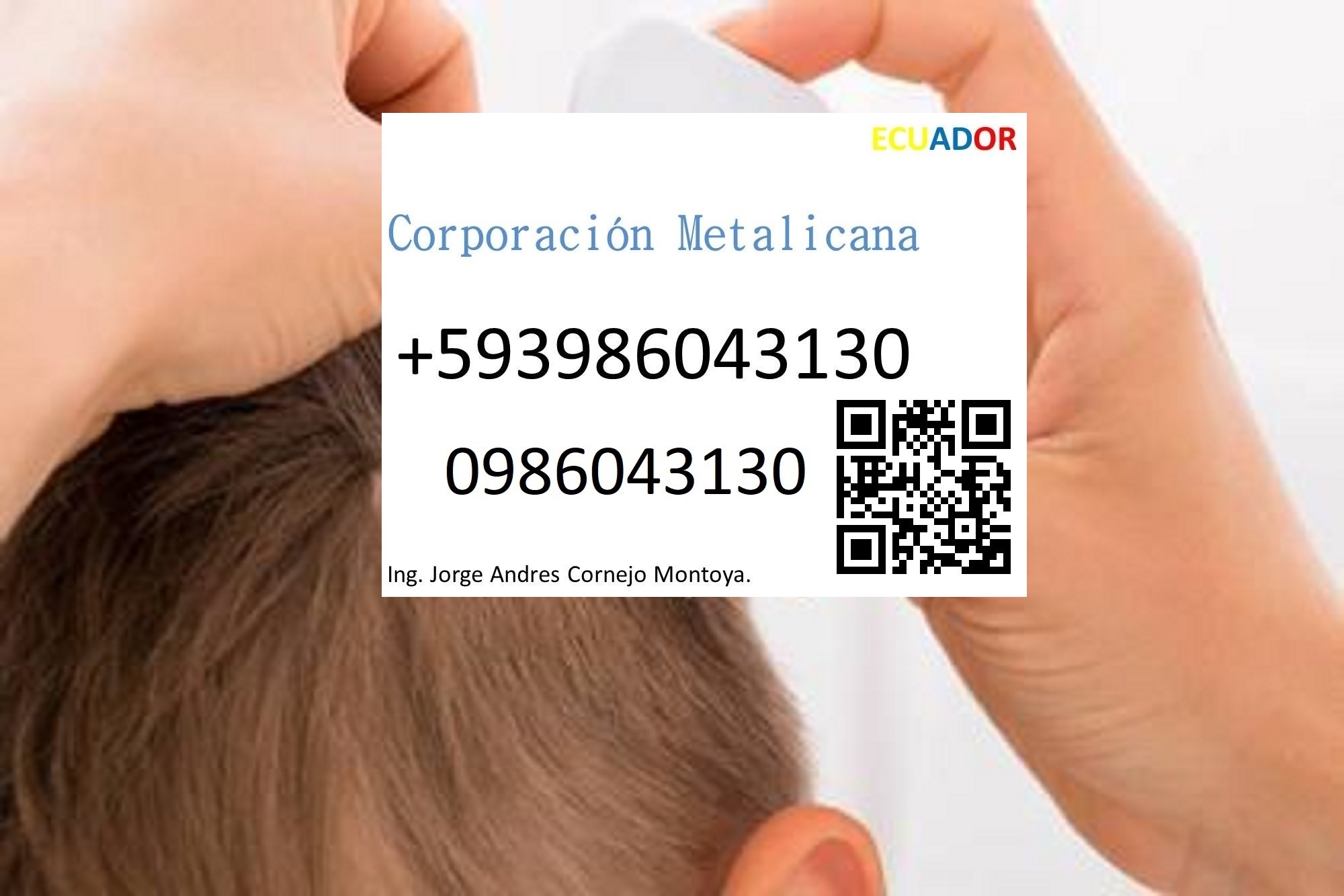 Company with lice professionals service in Manhattan New York United States