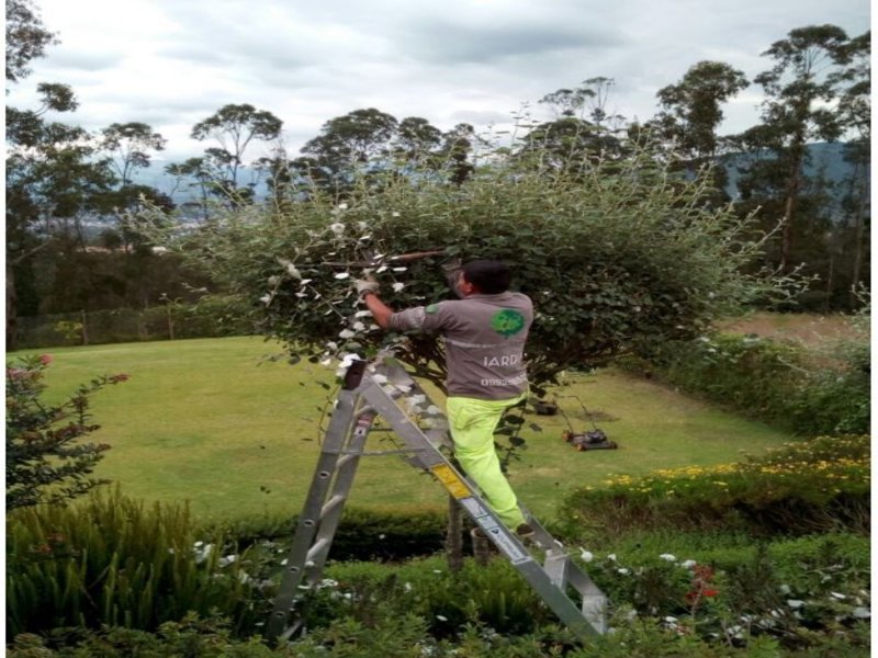 Mantenimiento de Jardines