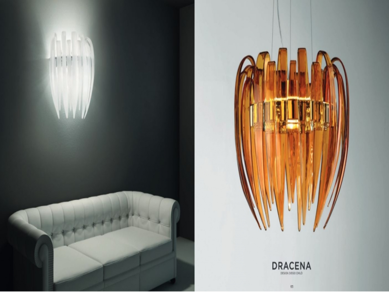 Dracena