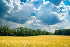 Terrenos en Venta Latacunga Centro