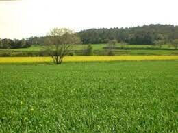 Terrenos en Venta Cuenca Centro