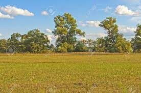 Terrenos en Venta Cayambe Centro