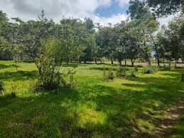 Terrenos en Venta Samborondón