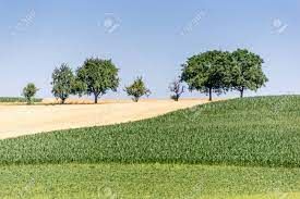 Terrenos en Venta Esmeraldas Centro